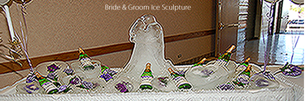 Colorado balloon decor, Colorado wedding designer, colorado event designer